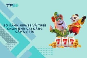 So sánh New88 và TP88 chọn nhà cái đẳng cấp uy tín